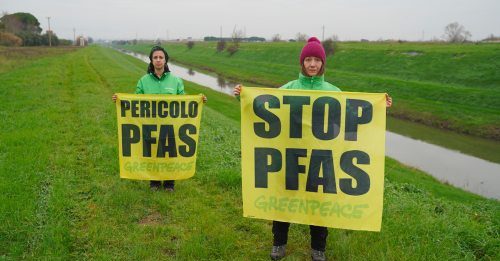 Greenpeace: Pfas, inquinamento diffuso in tutte le regioni