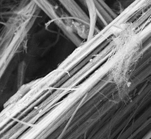 Individuato il meccanismo di tossicità dell’erionite, fibra killer peggiore dell’amianto