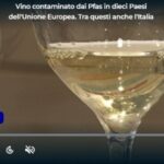 Anche in Italia: vino contaminato dai Tfa