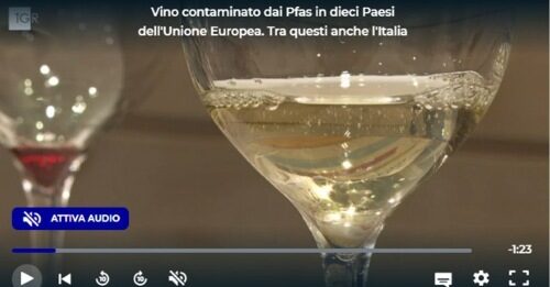 Anche in Italia: vino contaminato dai Tfa