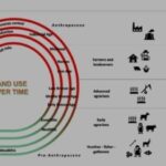 Nuovi percorsi di tutela ambientale dallo studio dei pollini antichi