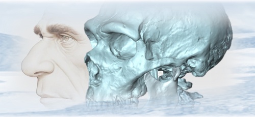 Nuova indagine e rilettura evolutiva sull’aspetto dei Neanderthal