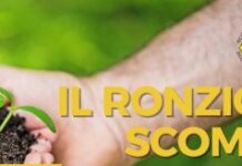 Quel ronzio che sta scomparendo: api, agrofarmaci e futuro dell’alimentazione