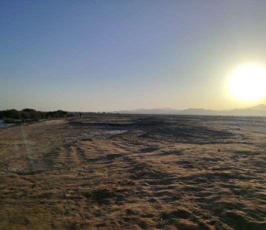 Il Veneto è sempre più vecchio: età media 46,9 anni