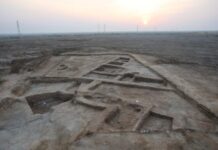 Quando i denti raccontano infanzia, alimentazione e vita quotidiana nell’antica Mesopotamia