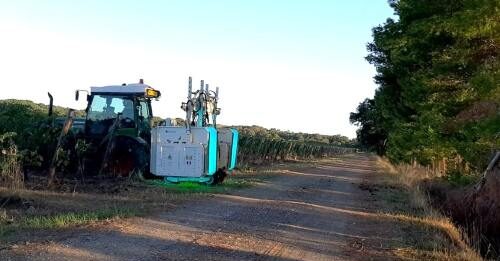 La luce che migliora il vino: più qualità in vigneto e meno anticrittogamici