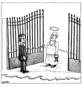 Vignette del giorno rassegna stampa